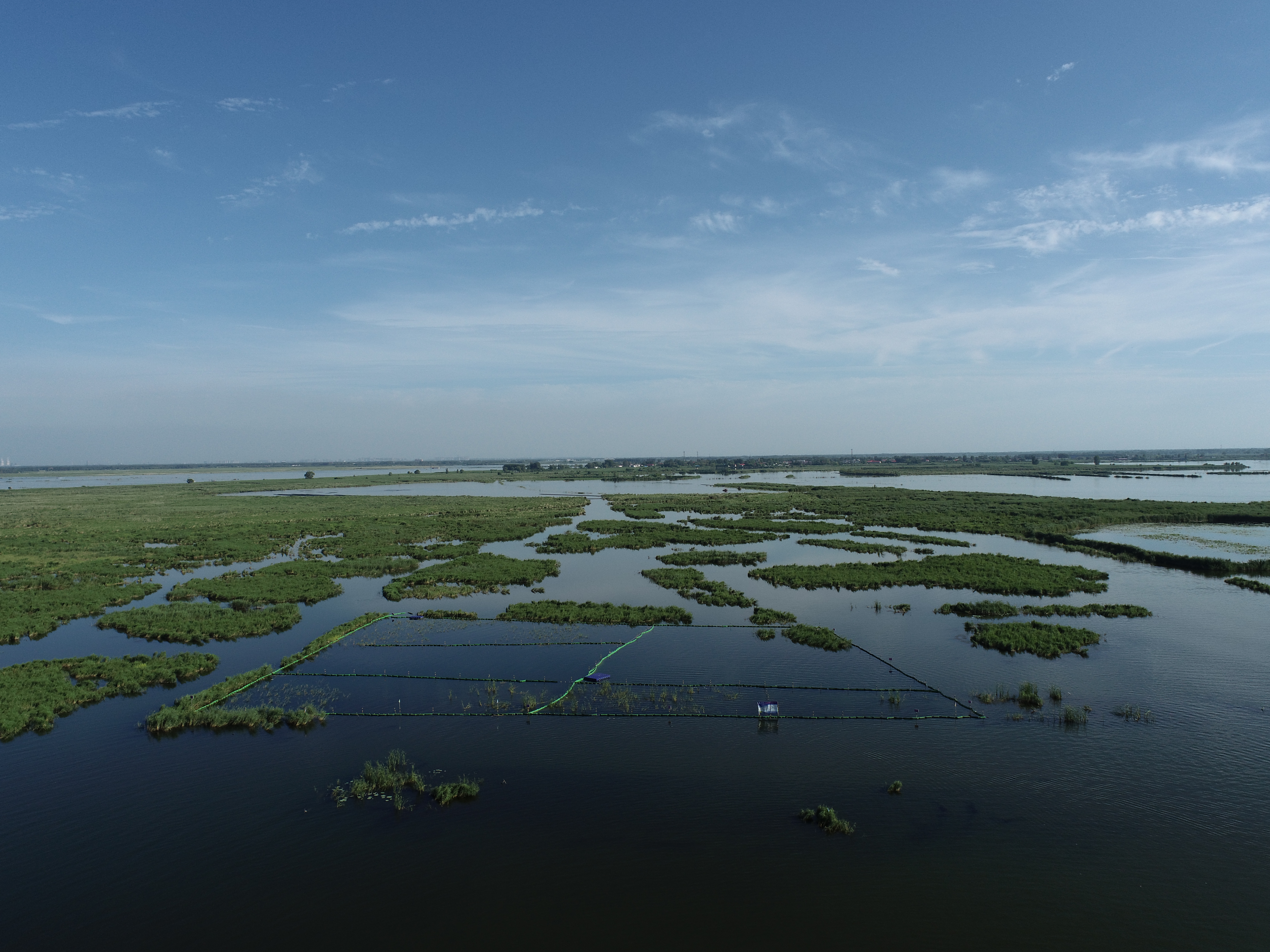 雄安新區白洋淀水生植被生態調控修復技術及示范研究項目實驗區.jpg